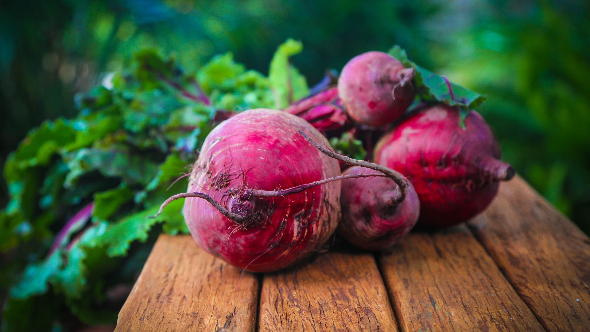 Lyo Powders EKO Beetroot - sproszkowany burak czerwony 50 g